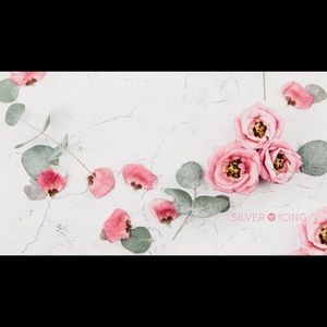 Meet your Posher, Sandy